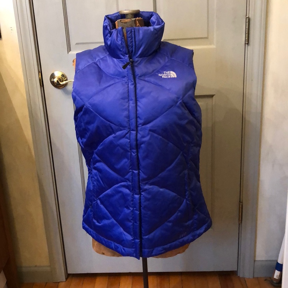 The North Face Women’s 550 Blue Vest